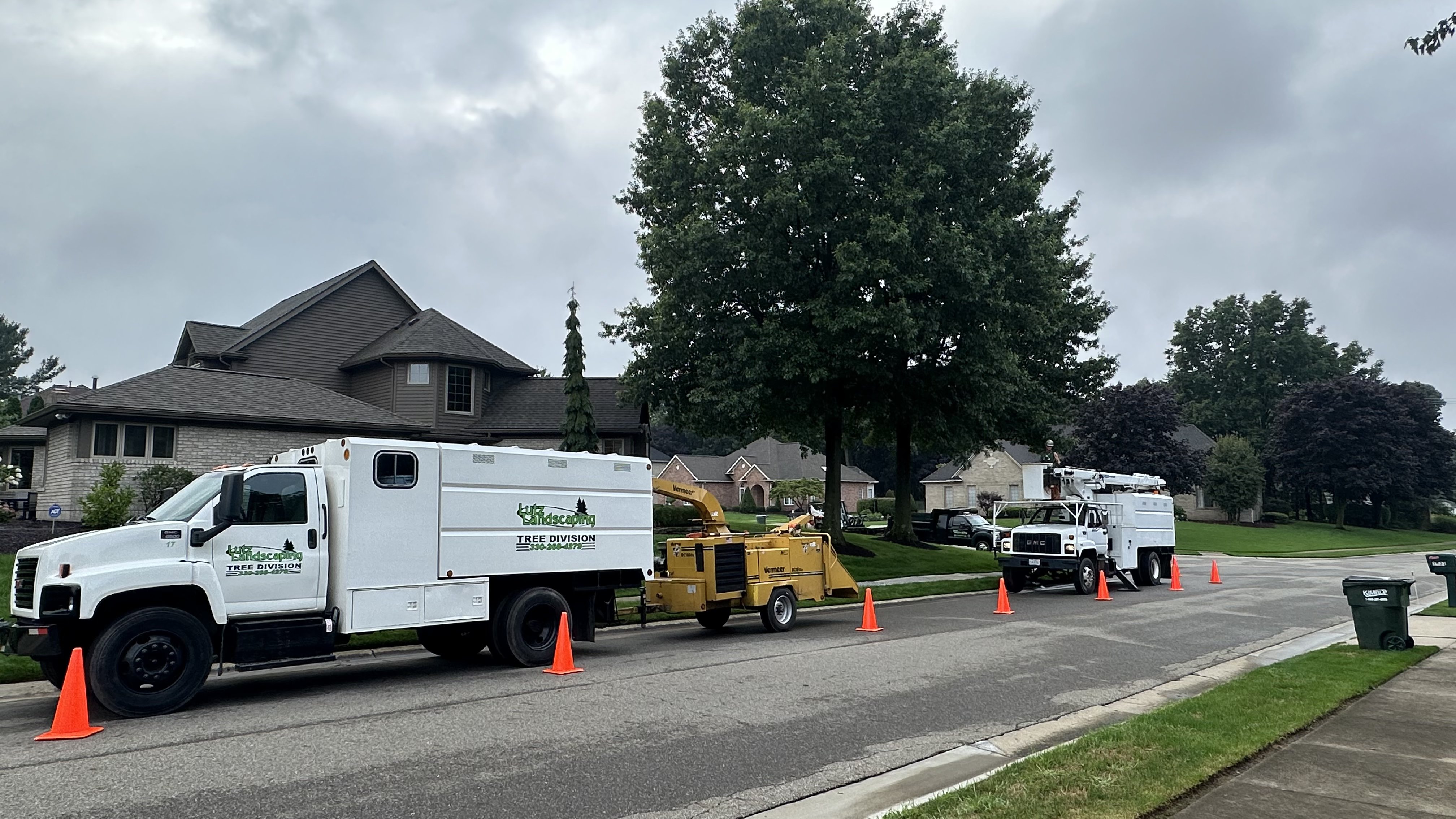 Professional Tree Pruning